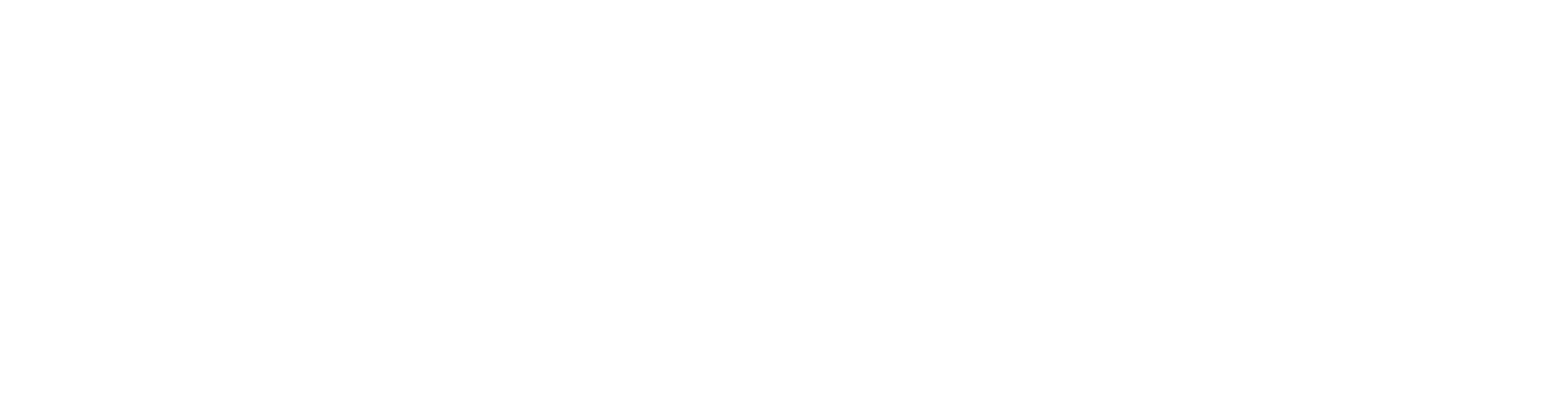저강도 회복 컨디셔닝 · Low-Intensity Recovery Conditioning · LIRC 등록 상표